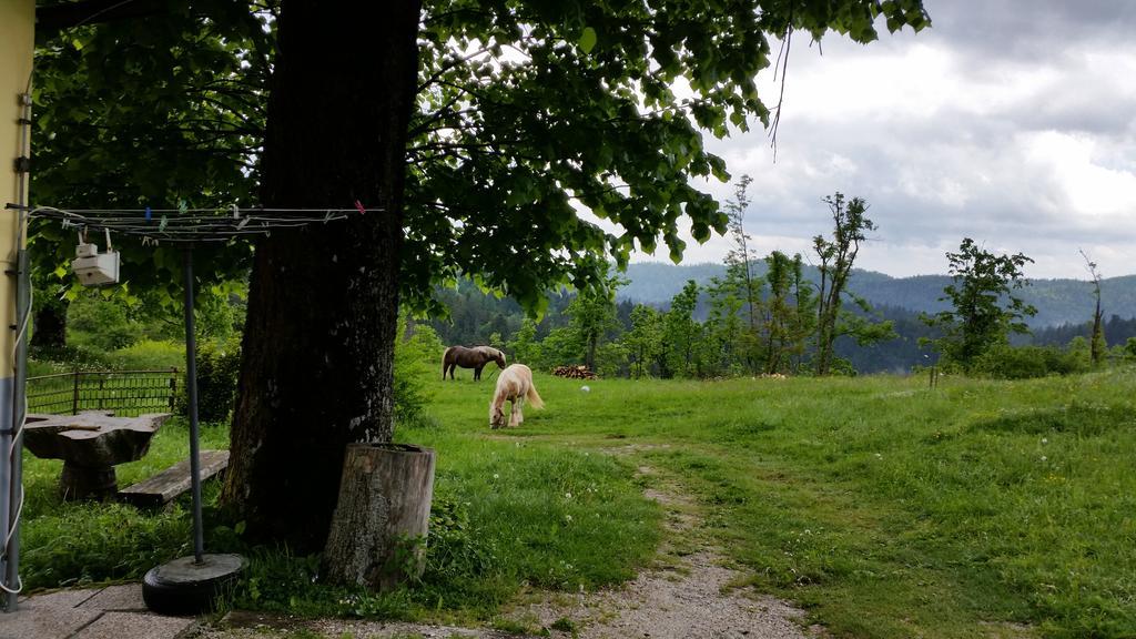 Отель Gostilna Stara Posta Podkraj Экстерьер фото